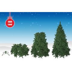 DE 97591 - Albero di Natale artificiale con rami folti - pino sintetico verde altezza 210 cm - 